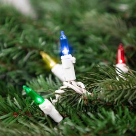 Northlight Seasonal 100 Multi LED Mini Christmas Lights