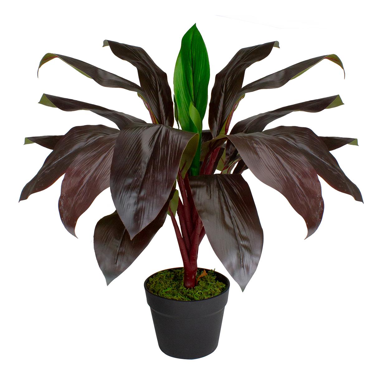 Northlight Real Touch™ Red and Green Artificial Dracaena Potted