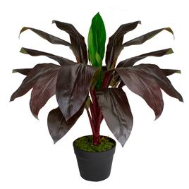 Northlight Real Touch™ Red and Green Artificial Dracaena Potted