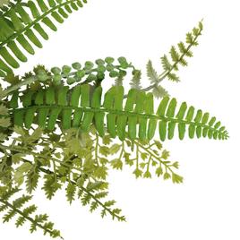 Northlight Seasonal Artificial Fern & Succulents Teardrop Swag
