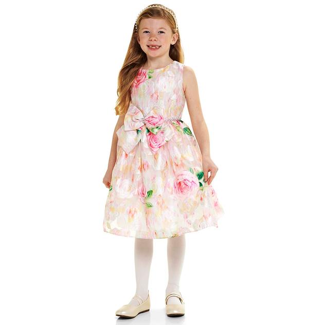 Girls (4-6x) Bonnie Jean Floral Burnout Jacquard Dress