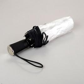 Totes Ultra Clear Auto Open Umbrella