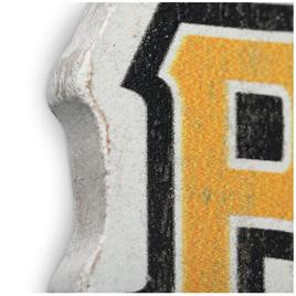 Open Road Pirates Logo Magnet