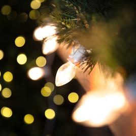 Northlight Seasonal 25ft. Clear C7 Christmas Lights - White Wire