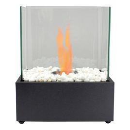 Northlight Seasonal 11.5in. Bio Ethanol Ventless Fireplace