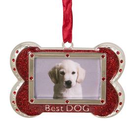 Northlight Seasonal 3in. Best Dog Bone Christmas Ornament