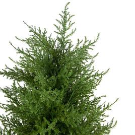 Northlight Seasonal 3ft. Artificial Cedar Pine Arborvitae Tree