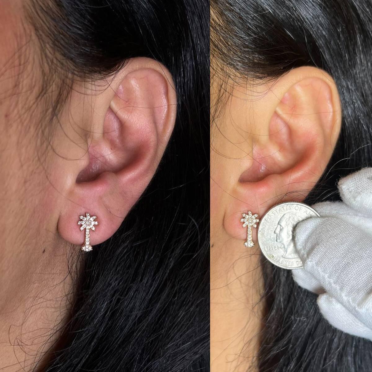 Haus of Brilliance 10kt. Rose Gold Diamond Palm Tree Earrings