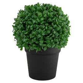 Northlight Seasonal Artificial Boxwood Ball Topiary in Round Pot