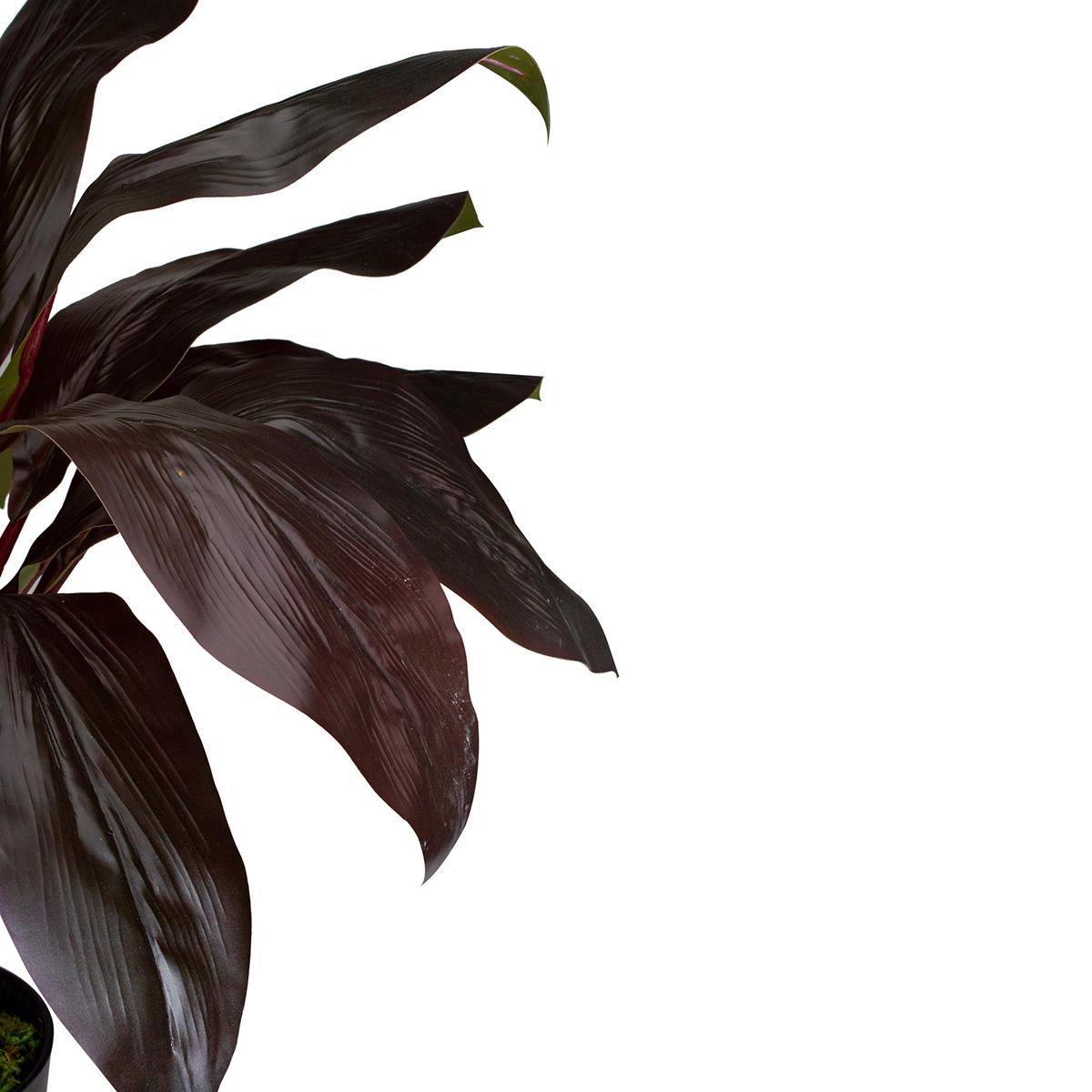 Northlight Real Touch™ Red and Green Artificial Dracaena Potted