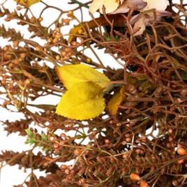Northlight Seasonal 32in. Fall Grass Artificial Wreath