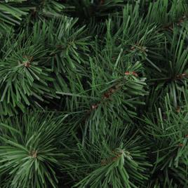 Northlight Seasonal Colorado Spruce Artificial Christmas Wreath
