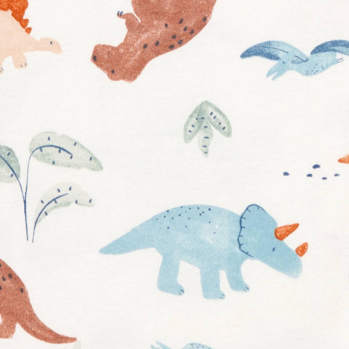 Baby Boy (NB-24M) Carter''s® Dino & Stripe Little Character Set
