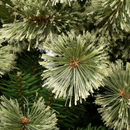 National Tree 6ft Arcadia Pine Cashmere Slim Christmas Tree