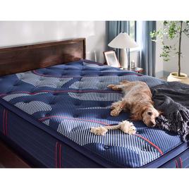 Sealy Posturepedic(R) Elite Brenham II Soft Pillow Top Mattress