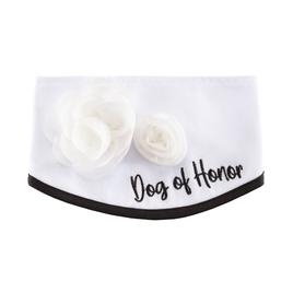 Best Furry Friends Classic Floral Pet Collar