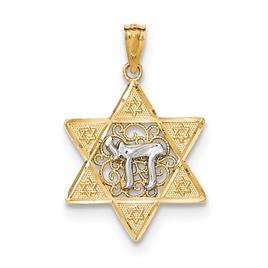 Unisex Gold Classics(tm) 14kt. Two Tone Star of David & Chai Pendant
