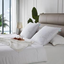 Martha Stewart Medium Firm 233TC 2pk. Decorative Feather Pillow