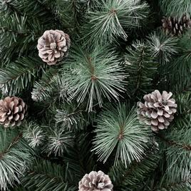 National Tree 6ft Perry Hard Needle Snow Tip Christmas Pine Tree