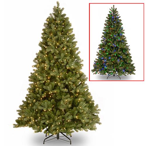 National Tree 7.5ft. Pre-Lit LED Downswept Douglas(R) Fir Tree