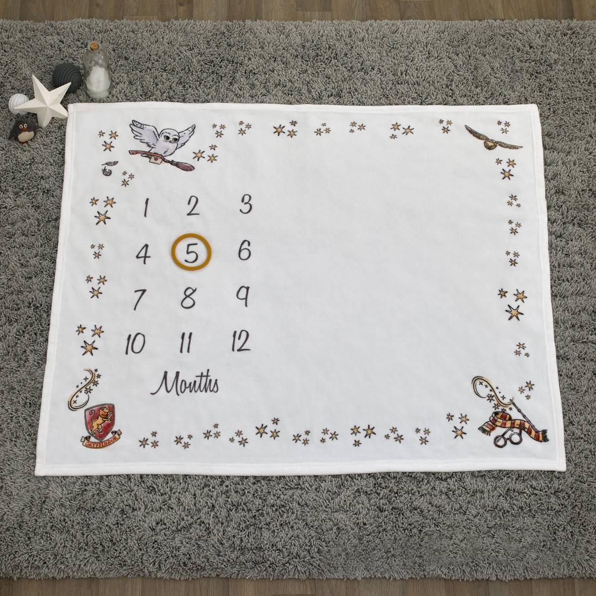 Warner Bros. Harry Potter Magical Moments Milestone Baby Blanket