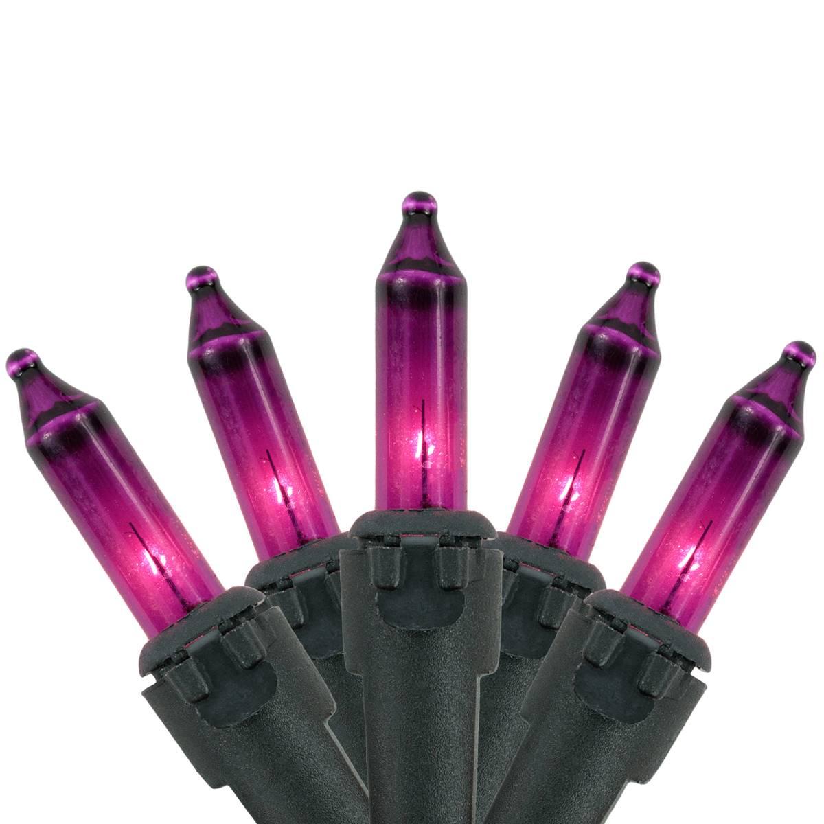 Northlight Seasonal 10ft. Purple Christmas Lights - Black Wire