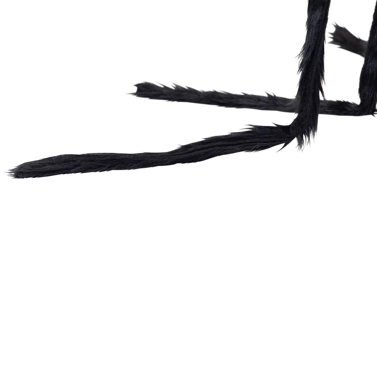 Northlight Seasonal 44in. Lighted Black Spider Halloween Décor