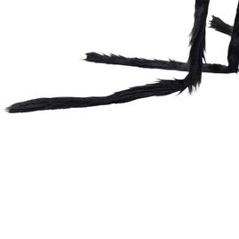 Northlight Seasonal 44in. Lighted Black Spider Halloween Décor