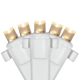 Northlight Seasonal 8ft. White LED Net Style Christmas Lights