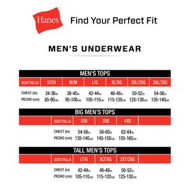 Mens Big & Tall Hanes® Ultimate 3pk. Tee - White