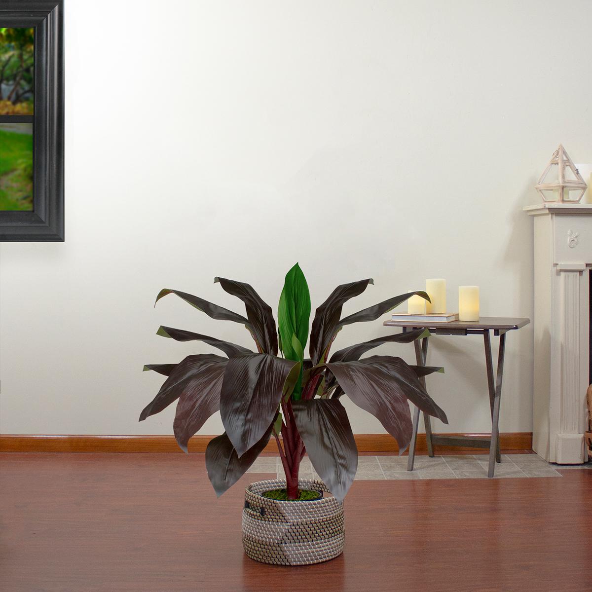 Northlight Real Touch(tm) Red and Green Artificial Dracaena Potted