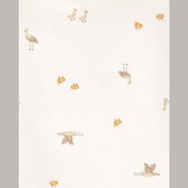Baby Unisex (NB-24M) Carter’s® 5pk. Free to Fly Bodysuits