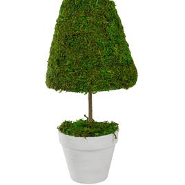 Northlight Seasonal Artificial Reindeer Moss Potted Topiary Tree