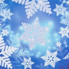 Northlight Seasonal Snowflakes Outdoor Garden Flag