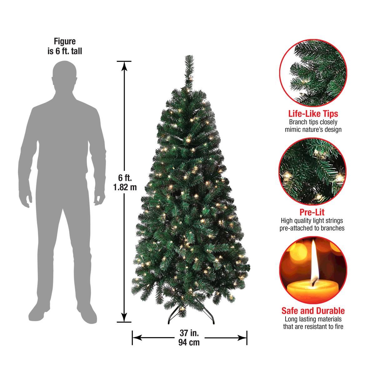 National Tree 6ft. Acacia Pre-Lit Christmas Tree