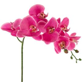 Northlight Seasonal Real Touch™ Artificial Orchids Potted Plant