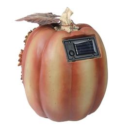 Northlight Seasonal 8in. Floral Pumpkin Outdoor Decoration