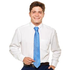 Mens Christian Aujard Regular Fit Performance Dress Shirt