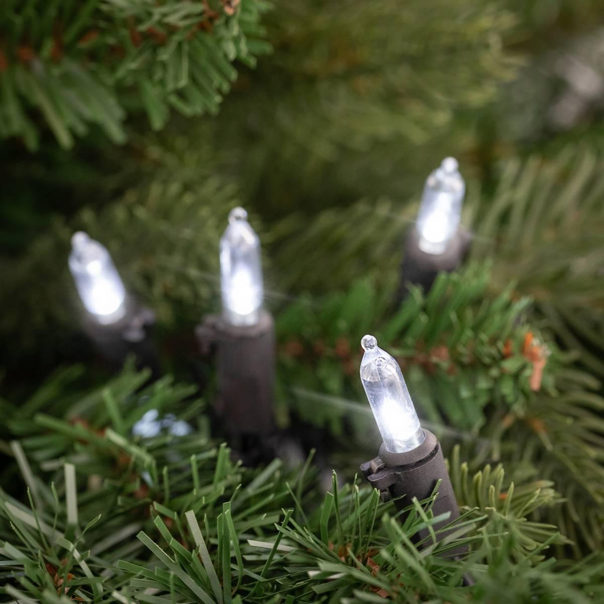 Northlight Seasonal 100ct. Pure White LED Mini Christmas Lights