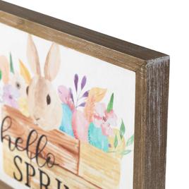 Northlight Seasonal Hello Spring Framed Easter Wall Sign