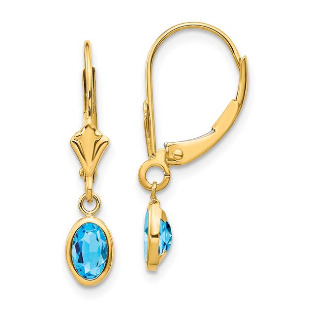 Gemstone Classics™ 14kt. Gold Blue Topaz Leverback Earrings