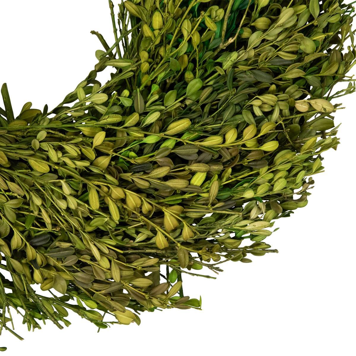 Northlight Seasonal 15in. Artificial Green Foliage Spring Wreath