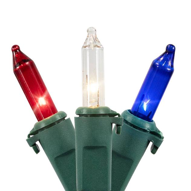 Northlight 50ct. Multicolor Mini String Lights