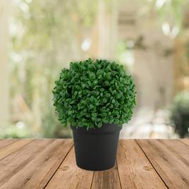 Northlight Seasonal Artificial Boxwood Ball Topiary in Round Pot