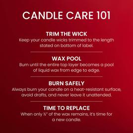 Yankee Candle® 22oz. Macintosh Jar Candle