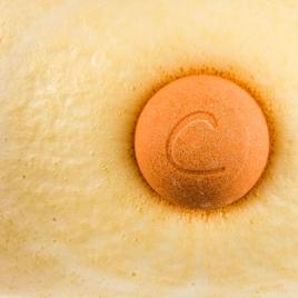 Cosset Kalahari Melon Uplifting Bubble Bath Therapy Bomb®