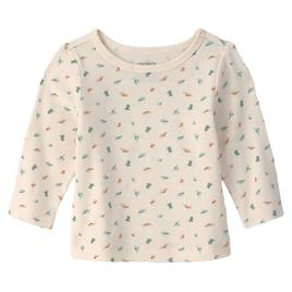 Baby Boy (NB-12M) Carter''s Ib Dino Print Overall Set