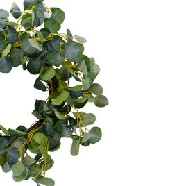 Northlight Seasonal Artificial Eucalyptus Leaves Spring Wreath