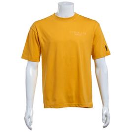 Young Mens SOUTHPOLE® Establish Relaxed Fit Tee