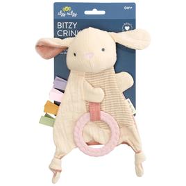 Baby Girl Itzy Ritzy Bunny Crinkle Sensory Toy